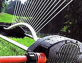 Scegliamo gli irrigatori per l'irrigazione del giardino