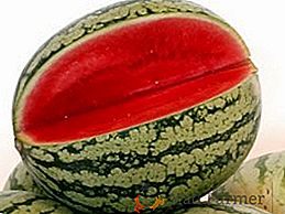 Врсте лубеница и њихове користи за људско тело