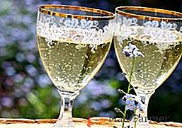 Как да направите домашно шампанско от гроздови листа