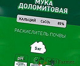 Farina Dolomite: applicazione e proprietà